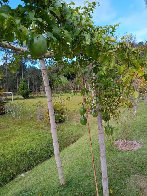 Sitio Paraiso Verde Juquitiba Exterior foto